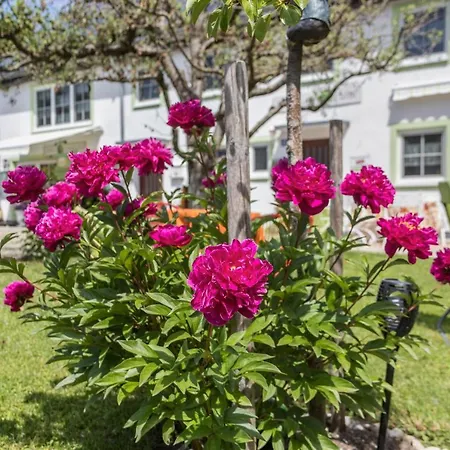 Carin Casa vacanze Utting am Ammersee
